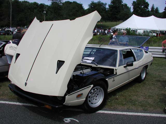 LimeRock165